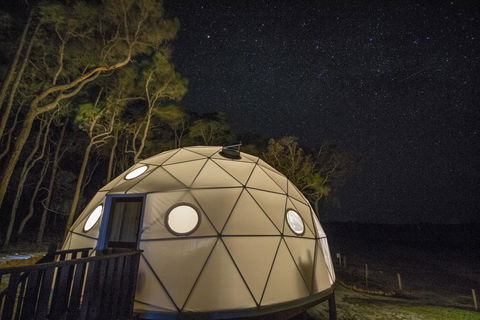 Mile End Glamping Pty Ltd - Lismore Accommodation 3