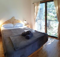 Mt Warning Rainforest Park - Lismore Accommodation