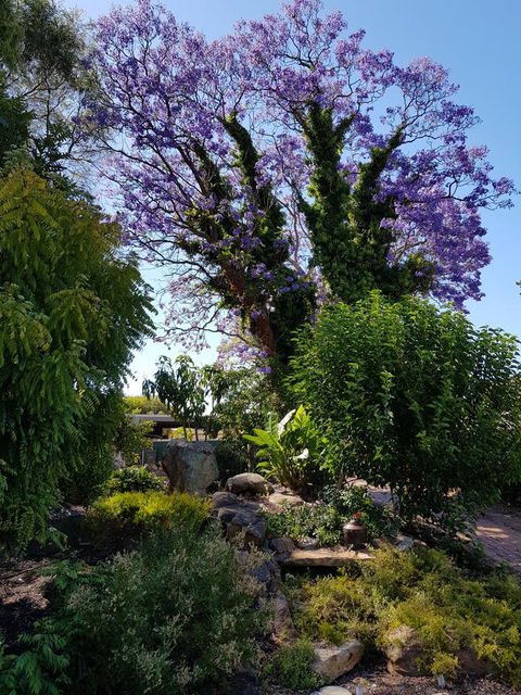 Jacaranda Hideaway Bed & Breakfast - Lismore Accommodation 10