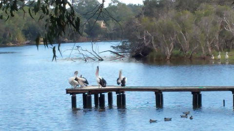 Jacaranda Hideaway Bed & Breakfast - Lismore Accommodation 18