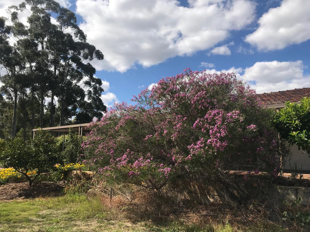 Aubin Grove WA Lismore Accommodation