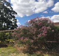 Cockburn Retreat Home  - Lismore Accommodation