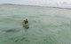 Island View Villas - thumb 13