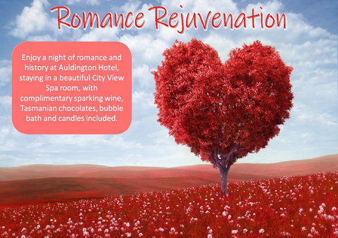 Auldington Hotel - Lismore Accommodation 6