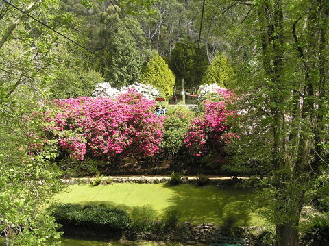 Auldington Hotel - Lismore Accommodation 23