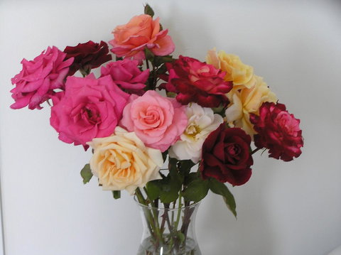 Auldington Hotel - Lismore Accommodation 30