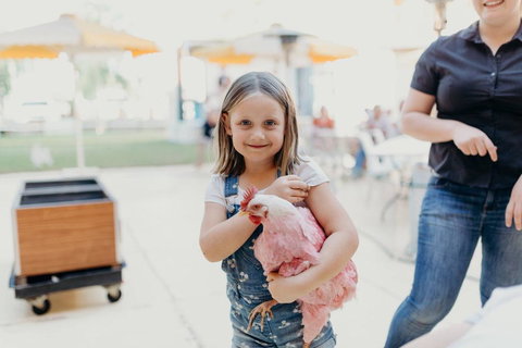 North Gregory Hotel - Lismore Accommodation 2