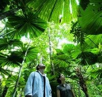 NRMA Cairns Holiday Park - Lismore Accommodation