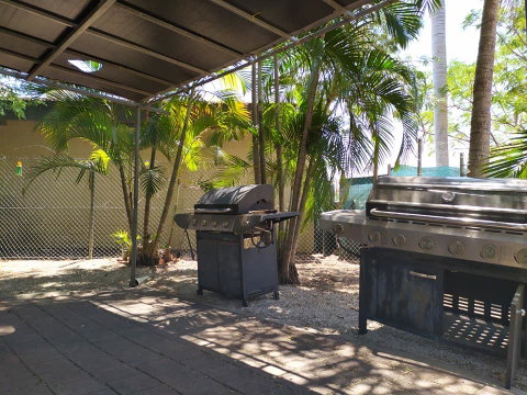 Palm Court Backpackers - Lismore Accommodation 2