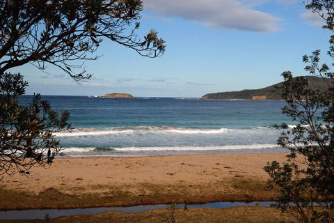 Pebbly Beach Shacks - Lismore Accommodation 0
