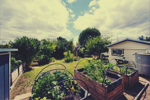 Penny Farthing Daylesford - Lismore Accommodation 2