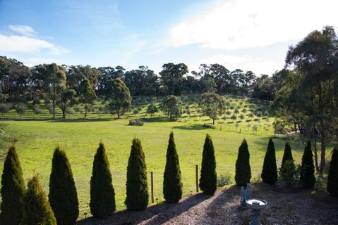 Phoenix - Lismore Accommodation 3
