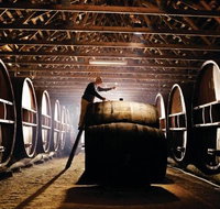 Pieter van Gent Winery  Vineyard - Lismore Accommodation