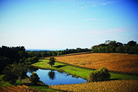 Port Phillip Estate - Lismore Accommodation 2
