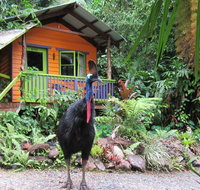 Rainforest Hideaway - Lismore Accommodation