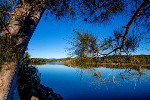 Reflections Holiday Parks Ferry Reserve - Lismore Accommodation 3