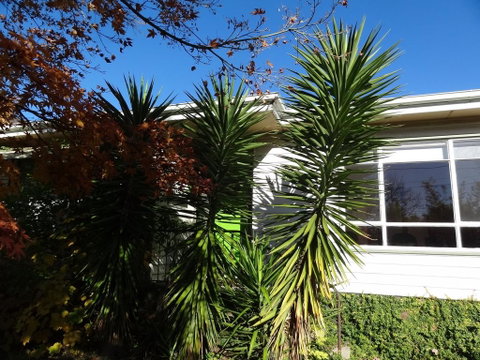 Retro Retreat - Lismore Accommodation 2