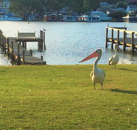 Riverfront Getaway - Mannum - Lismore Accommodation