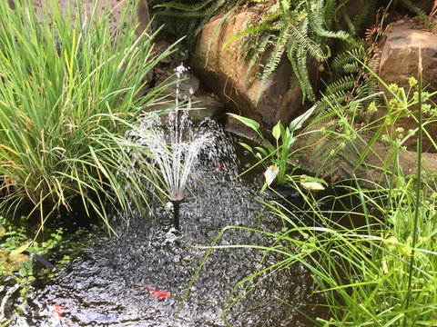 Rocky Rest - Lismore Accommodation 3