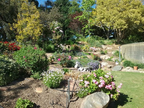 Rose Cottage - Lismore Accommodation 1