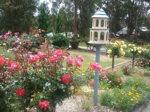 Rose Cottage - Lismore Accommodation 2