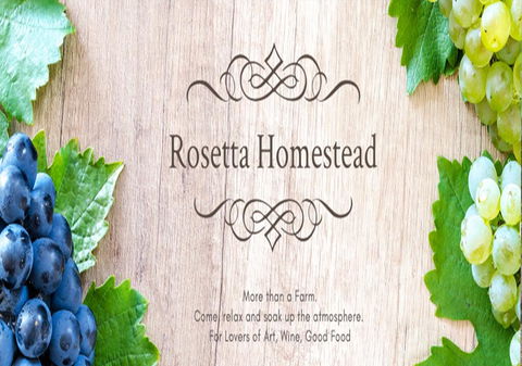 Rosetta Homestead - Lismore Accommodation 0