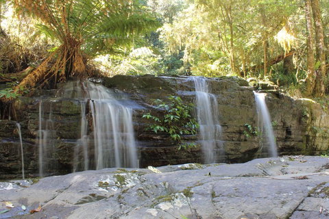 Salisbury Lodges - Lismore Accommodation 1
