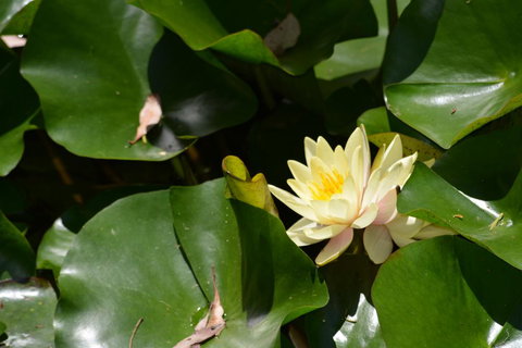 Salisbury Lodges - Lismore Accommodation 3