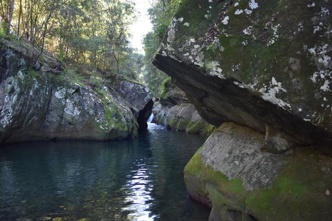 Salisbury Lodges - Lismore Accommodation 0