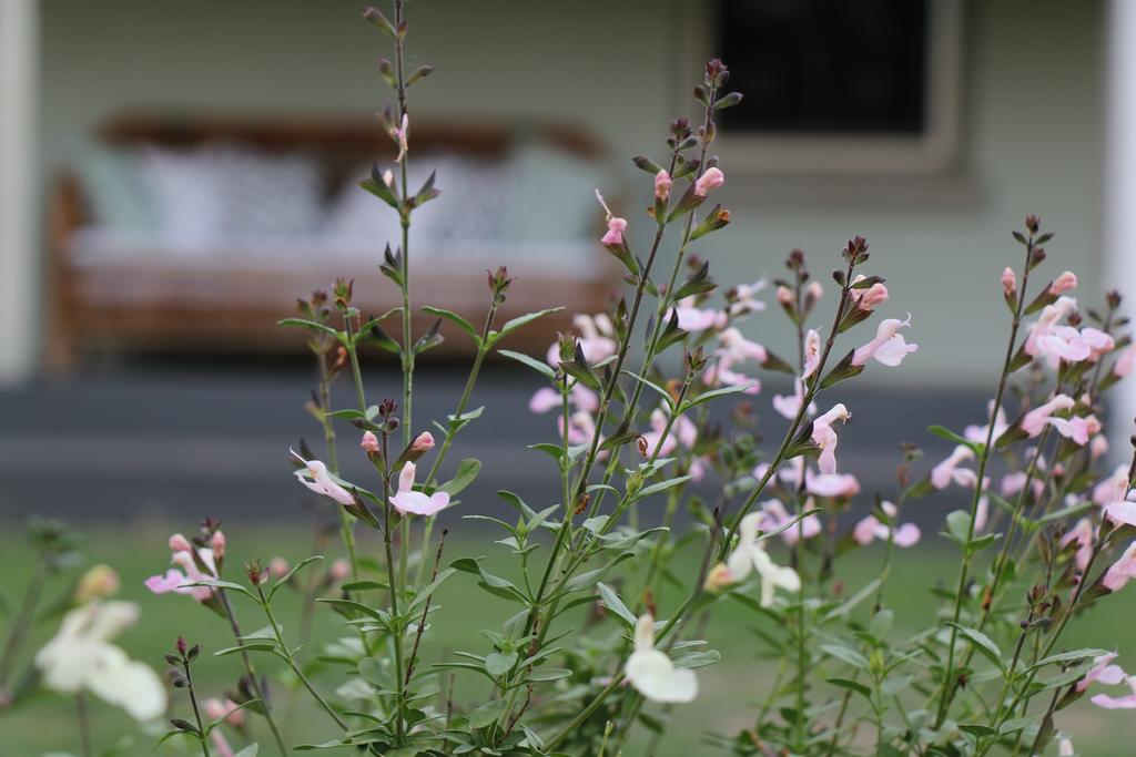 Allynbrook ACT Lismore Accommodation