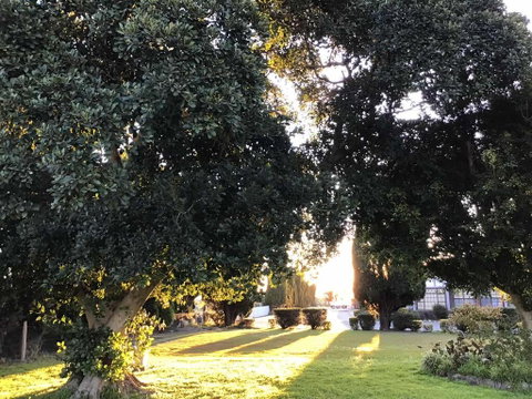 Sir Francis Drake - Lismore Accommodation 2