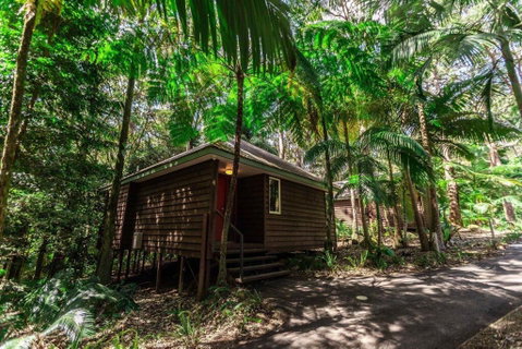 Songbirds Rainforest Retreat - Lismore Accommodation 2