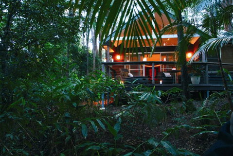 Songbirds Rainforest Retreat - Lismore Accommodation 0
