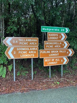 Springbrook Mountain Chalets - Lismore Accommodation 3