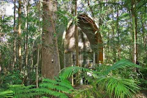 Springbrook Mountain Chalets - Lismore Accommodation 0
