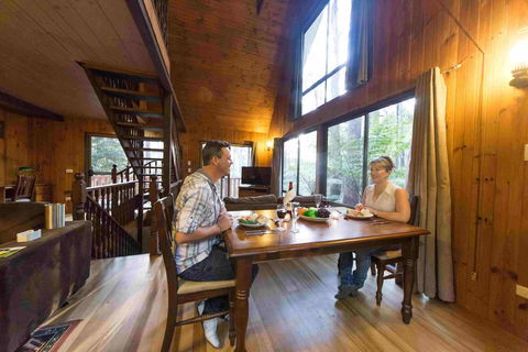 Springbrook Mountain Chalets - Lismore Accommodation 2