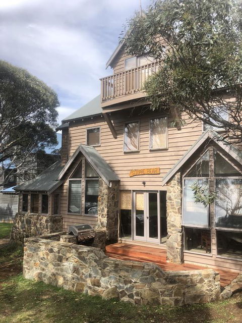 Square Bear-DPA - Lismore Accommodation 0