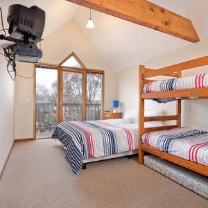 Square Bear-DPA - Lismore Accommodation 2