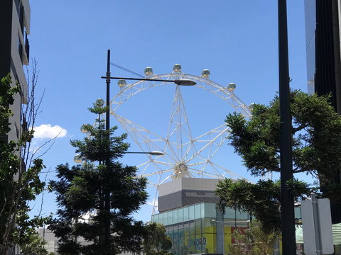 StayCentral Docklands Delight - Lismore Accommodation 3