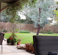 Sue's Sanctuary - Lismore Accommodation