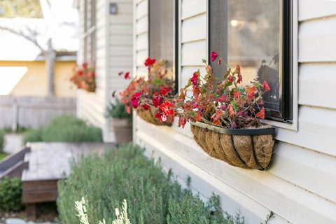 Sunnyside - Lismore Accommodation 2