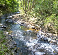 Tallaringa Views - Lismore Accommodation