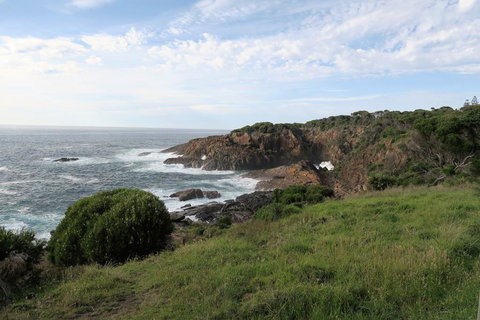 Tathra Hotel & Motel - Lismore Accommodation 1