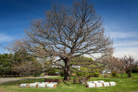Ratho Farm - Lismore Accommodation 8