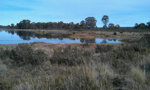 Highland Cabins And Cottages At Bronte Park - Lismore Accommodation 3