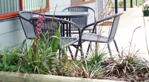 Highland Cabins And Cottages At Bronte Park - Lismore Accommodation 6