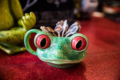 The Pickled Frog - Lismore Accommodation 13