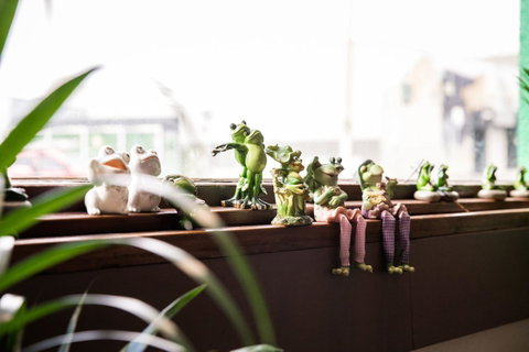 The Pickled Frog - Lismore Accommodation 12