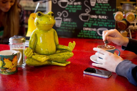 The Pickled Frog - Lismore Accommodation 30