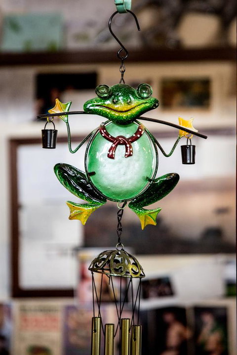 The Pickled Frog - Lismore Accommodation 35